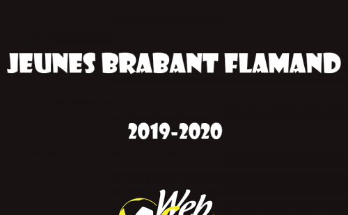 Règles jeunes Brabant Flamand 2019-2020 Règlement du championnat provincial jeunes du Brabant Flamand 2019-2020
